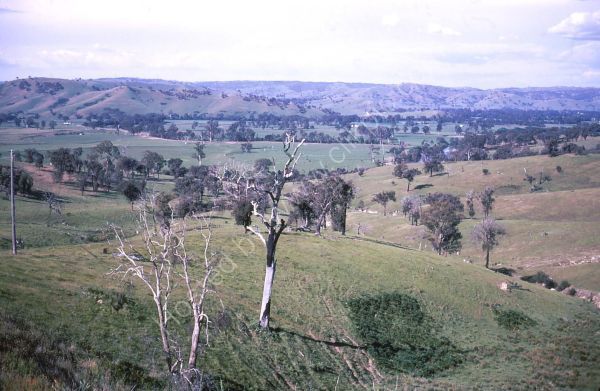 Countryside, Victoria State